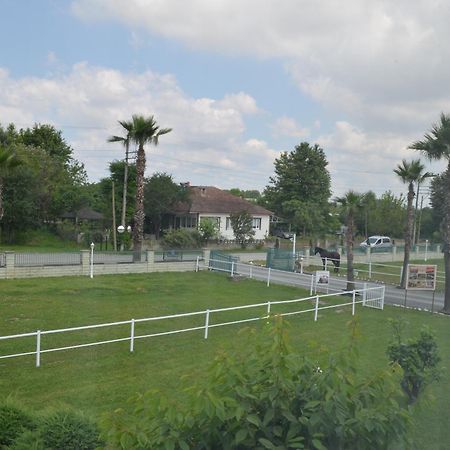 Serbesler Botanik, No 1 Comfortable Villa ซาคาร์ยา ภายนอก รูปภาพ