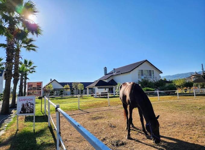 Serbesler Botanik, No 1 Comfortable Villa ซาคาร์ยา ภายนอก รูปภาพ
