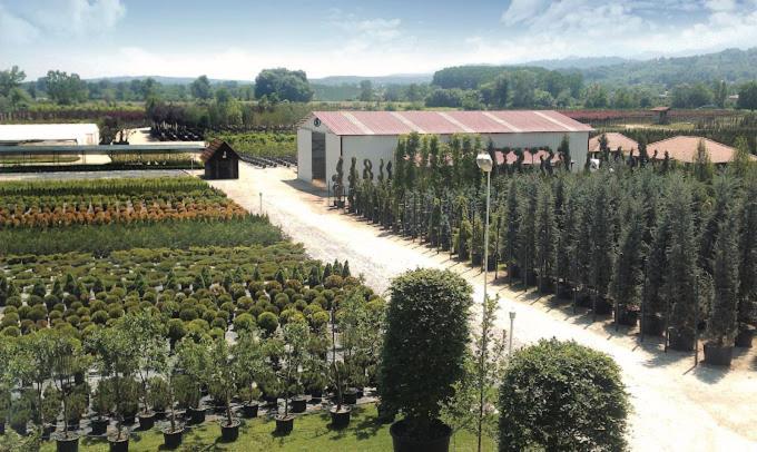 Serbesler Botanik, No 1 Comfortable Villa ซาคาร์ยา ภายนอก รูปภาพ