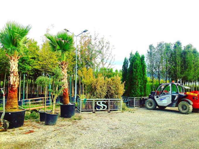 Serbesler Botanik, No 1 Comfortable Villa ซาคาร์ยา ภายนอก รูปภาพ